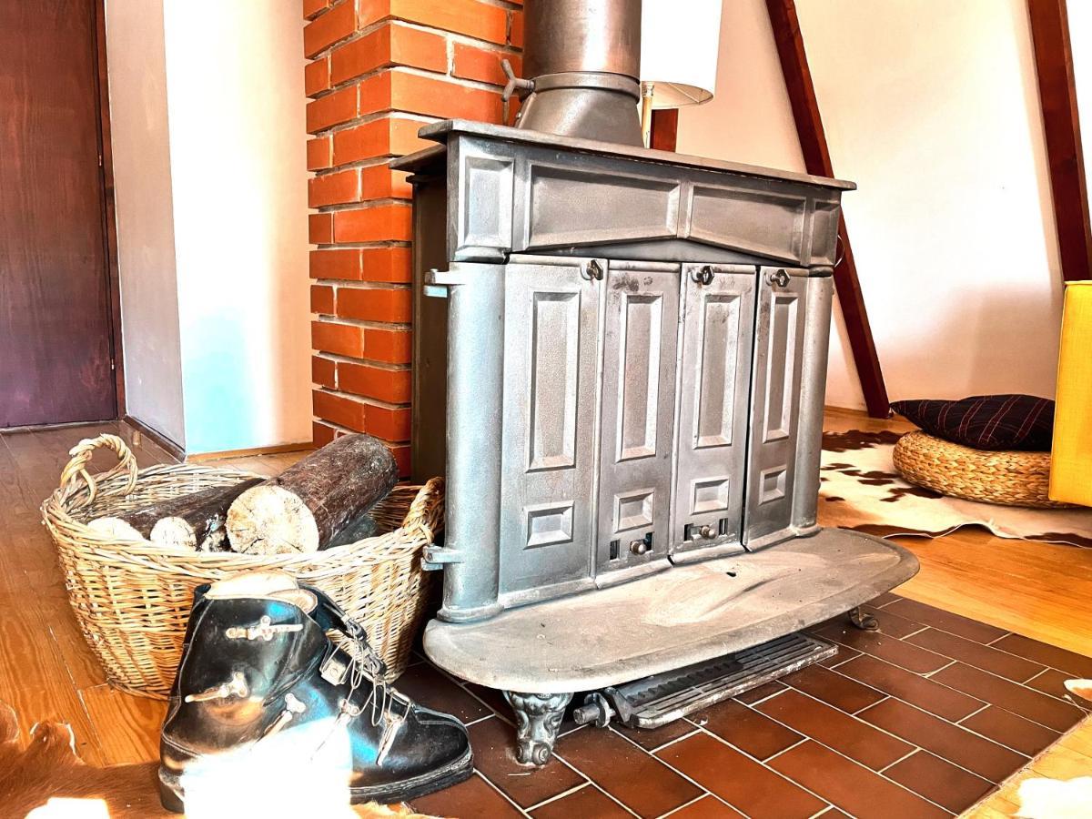 Villa Kuca Na Kopaoniku - Rani Mraz Extérieur photo